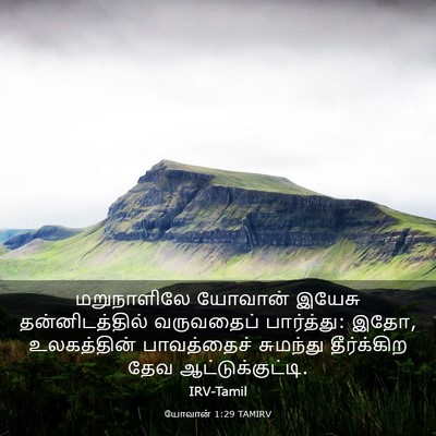 Picture 03 - யோவான் 1:29 TAMIRV - மறுநாளிலே யோவான் - Bible Verse Picture