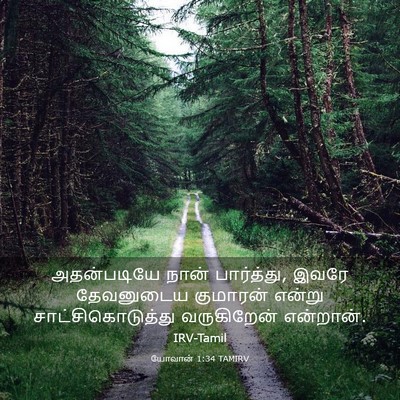 Picture 03 - யோவான் 1:34 TAMIRV - அதன்படியே நான் - Bible Verse Picture