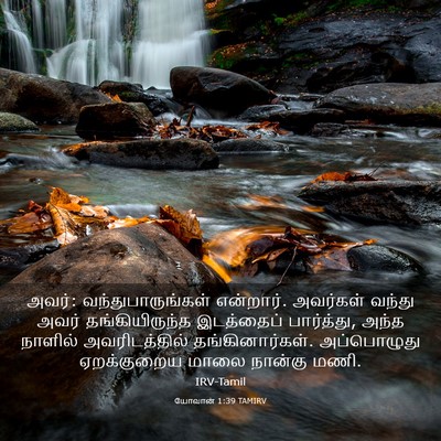 Picture 03 - யோவான் 1:39 TAMIRV - அவர்: - Bible Verse Picture