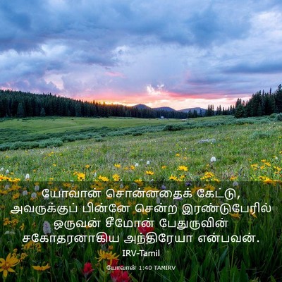 Picture 03 - யோவான் 1:40 TAMIRV - யோவான் சொன்னதைக் - Bible Verse Picture