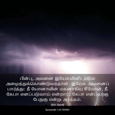 Picture 03 - யோவான் 1:42 TAMIRV - பின்பு, அவனை - Bible Verse Picture