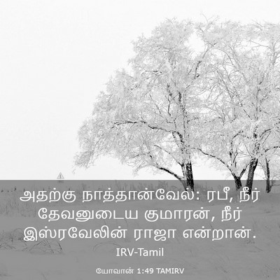 Picture 03 - யோவான் 1:49 TAMIRV - அதற்கு - Bible Verse Picture
