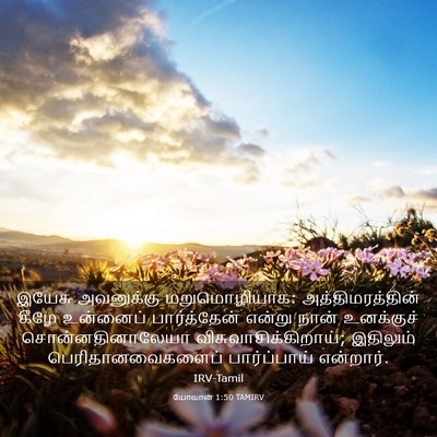 Picture 03 - யோவான் 1:50 TAMIRV - இயேசு அவனுக்கு - Bible Verse Picture