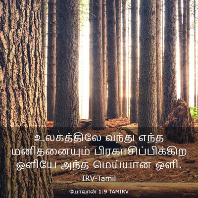 Picture 03 - யோவான் 1:9 TAMIRV - உலகத்திலே வந்து - Bible Verse Picture