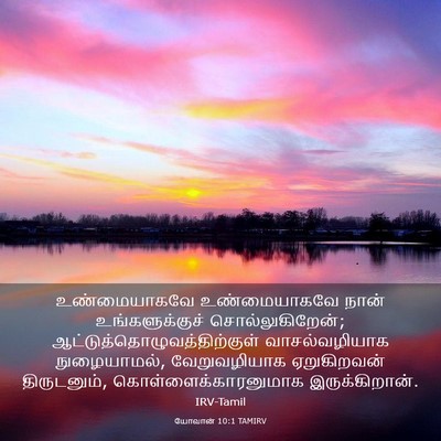 Picture 03 - யோவான் 10:1 TAMIRV - உண்மையாகவே - Bible Verse Picture