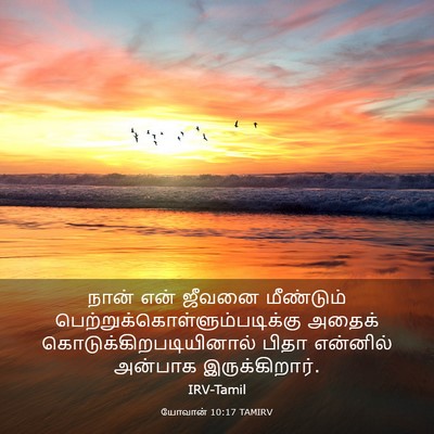 Picture 03 - யோவான் 10:17 TAMIRV - நான் என் ஜீவனை - Bible Verse Picture