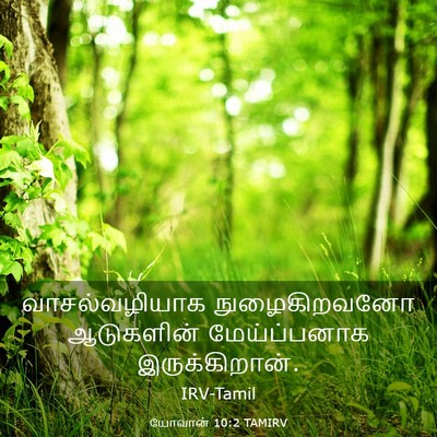 Picture 03 - யோவான் 10:2 TAMIRV - வாசல்வழியாக - Bible Verse Picture