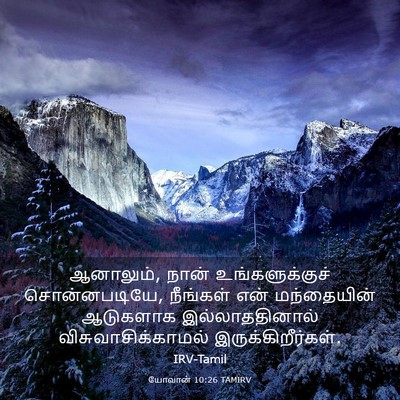 Picture 03 - யோவான் 10:26 TAMIRV - ஆனாலும், நான் - Bible Verse Picture