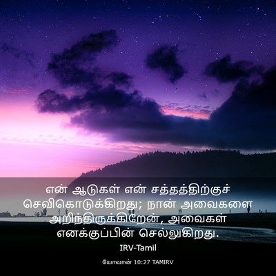 Picture 03 - யோவான் 10:27 TAMIRV - என் ஆடுகள் என் - Bible Verse Picture