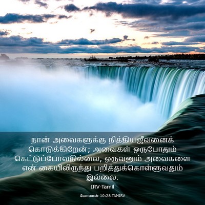 Picture 03 - யோவான் 10:28 TAMIRV - நான் அவைகளுக்கு - Bible Verse Picture
