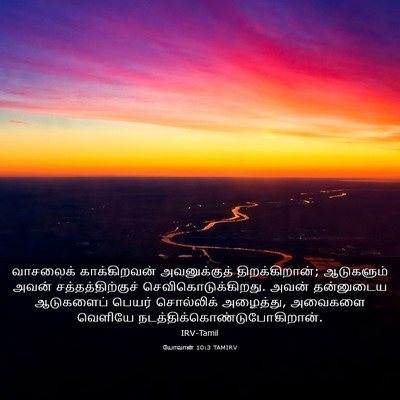 Picture 03 - யோவான் 10:3 TAMIRV - வாசலைக் - Bible Verse Picture