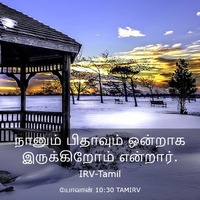 Picture 03 - யோவான் 10:30 TAMIRV - நானும் பிதாவும் - Bible Verse Picture