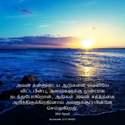 Picture 03 - யோவான் 10:4 TAMIRV - அவன் தன்னுடைய - Bible Verse Picture