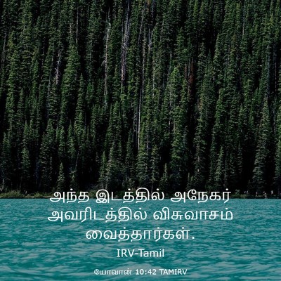 Picture 03 - யோவான் 10:42 TAMIRV - அந்த இடத்தில் - Bible Verse Picture