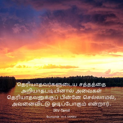 Picture 03 - யோவான் 10:5 TAMIRV - தெரியாதவர்களுடைய - Bible Verse Picture