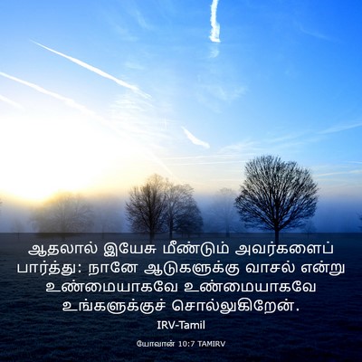 Picture 03 - யோவான் 10:7 TAMIRV - ஆதலால் இயேசு - Bible Verse Picture