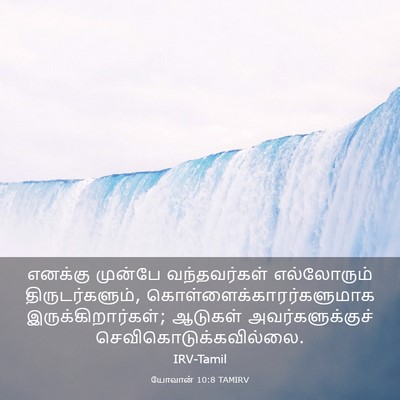 Picture 03 - யோவான் 10:8 TAMIRV - எனக்கு முன்பே - Bible Verse Picture