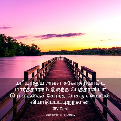 Picture 03 - யோவான் 11:1 TAMIRV - மரியாளும் அவள் - Bible Verse Picture