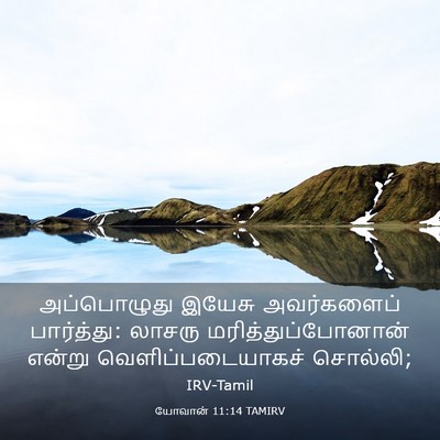 Picture 03 - யோவான் 11:14 TAMIRV - அப்பொழுது இயேசு - Bible Verse Picture