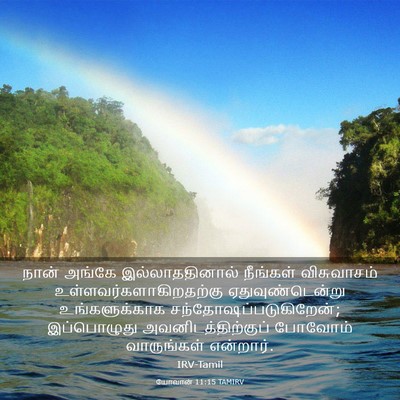Picture 03 - யோவான் 11:15 TAMIRV - நான் அங்கே - Bible Verse Picture