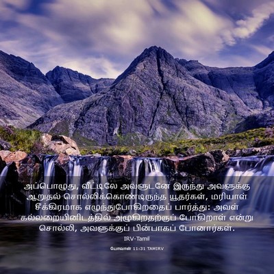 Picture 03 - யோவான் 11:31 TAMIRV - அப்பொழுது, - Bible Verse Picture