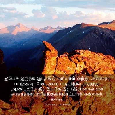 Picture 03 - யோவான் 11:32 TAMIRV - இயேசு இருந்த - Bible Verse Picture