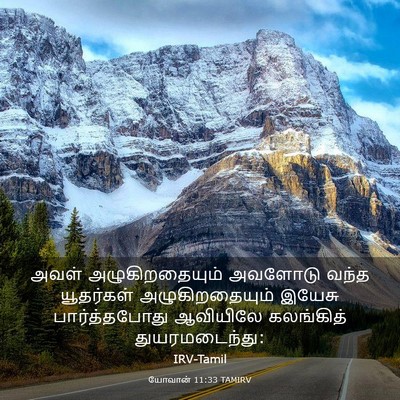 Picture 03 - யோவான் 11:33 TAMIRV - அவள் அழுகிறதையும் - Bible Verse Picture