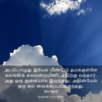 Picture 03 - யோவான் 11:38 TAMIRV - அப்பொழுது இயேசு - Bible Verse Picture