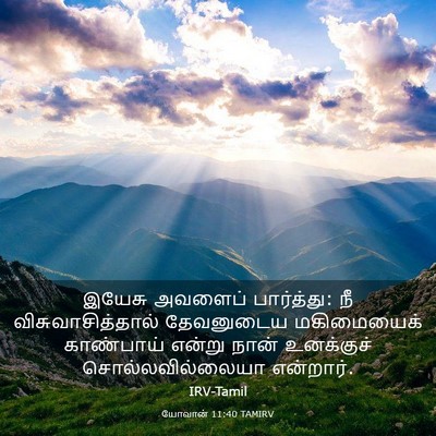 Picture 03 - யோவான் 11:40 TAMIRV - இயேசு அவளைப் - Bible Verse Picture