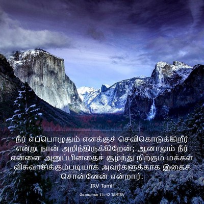 Picture 03 - யோவான் 11:42 TAMIRV - நீர் எப்பொழுதும் - Bible Verse Picture