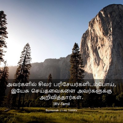 Picture 03 - யோவான் 11:46 TAMIRV - அவர்களில் சிலர் - Bible Verse Picture