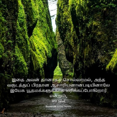 Picture 03 - யோவான் 11:51 TAMIRV - இதை அவன் தானாகச் - Bible Verse Picture