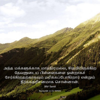 Picture 03 - யோவான் 11:52 TAMIRV - அந்த மக்களுக்காக - Bible Verse Picture