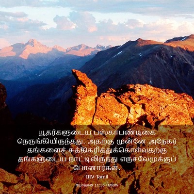 Picture 03 - யோவான் 11:55 TAMIRV - யூதர்களுடைய - Bible Verse Picture