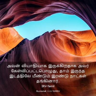 Picture 03 - யோவான் 11:6 TAMIRV - அவன் வியாதியாக - Bible Verse Picture