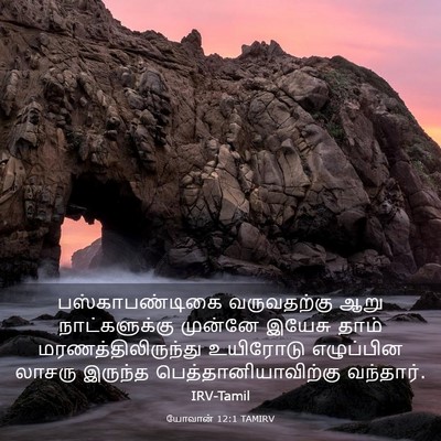 Picture 03 - யோவான் 12:1 TAMIRV - பஸ்காபண்டிகை - Bible Verse Picture