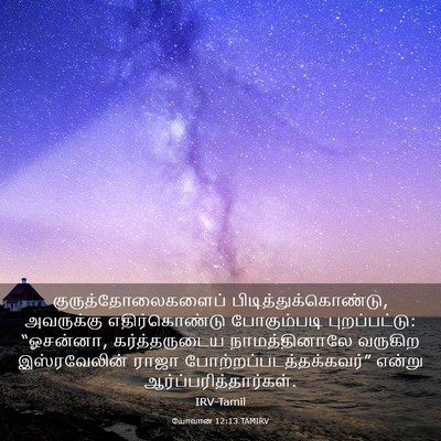 Picture 03 - யோவான் 12:13 TAMIRV - குருத்தோலைகளைப் - Bible Verse Picture