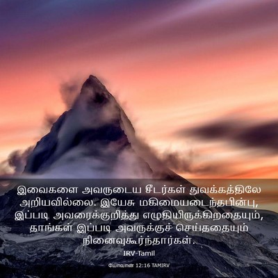 Picture 03 - யோவான் 12:16 TAMIRV - இவைகளை அவருடைய - Bible Verse Picture