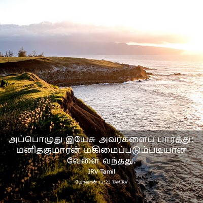 Picture 03 - யோவான் 12:23 TAMIRV - அப்பொழுது இயேசு - Bible Verse Picture