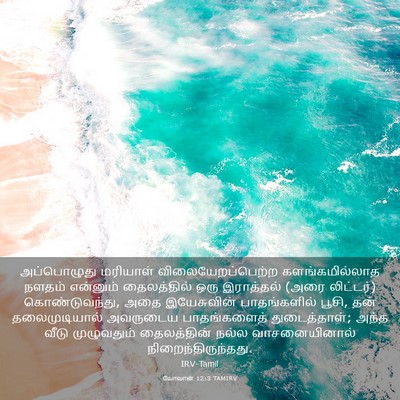 Picture 03 - யோவான் 12:3 TAMIRV - அப்பொழுது மரியாள் - Bible Verse Picture