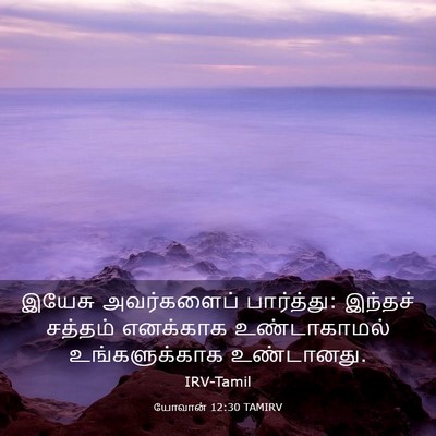 Picture 03 - யோவான் 12:30 TAMIRV - இயேசு அவர்களைப் - Bible Verse Picture