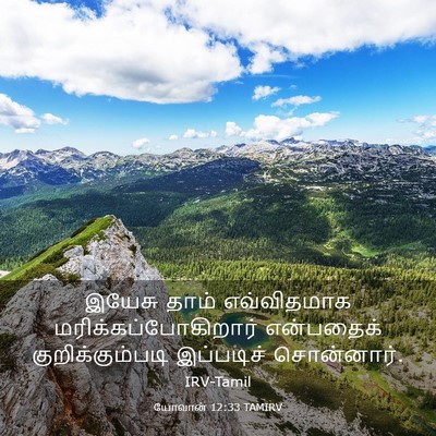 Picture 03 - யோவான் 12:33 TAMIRV - இயேசு தாம் - Bible Verse Picture