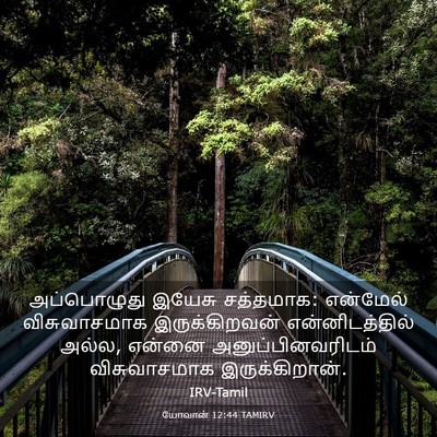 Picture 03 - யோவான் 12:44 TAMIRV - அப்பொழுது இயேசு - Bible Verse Picture