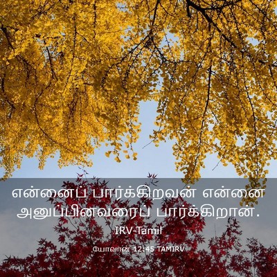 Picture 03 - யோவான் 12:45 TAMIRV - என்னைப் - Bible Verse Picture
