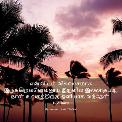 Picture 03 - யோவான் 12:46 TAMIRV - என்னிடம் - Bible Verse Picture