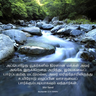 Picture 03 - யோவான் 12:9 TAMIRV - அப்பொழுது - Bible Verse Picture