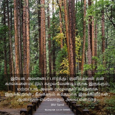 Picture 03 - யோவான் 13:10 TAMIRV - இயேசு அவனைப் - Bible Verse Picture