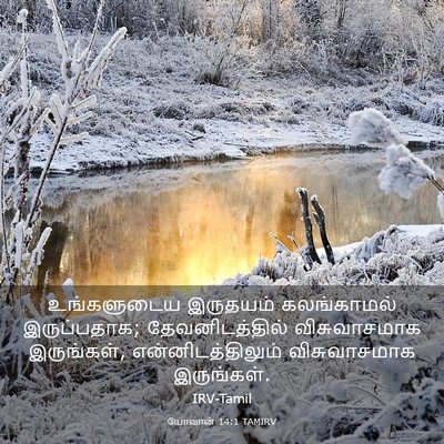 Picture 03 - யோவான் 14:1 TAMIRV - உங்களுடைய இருதயம் - Bible Verse Picture