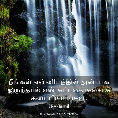 Picture 03 - யோவான் 14:15 TAMIRV - நீங்கள் - Bible Verse Picture