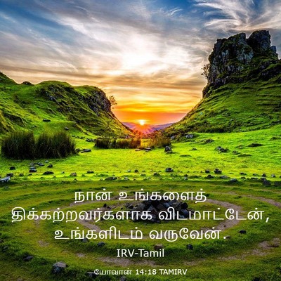Picture 03 - யோவான் 14:18 TAMIRV - நான் உங்களைத் - Bible Verse Picture